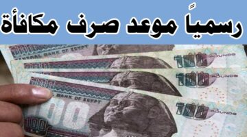 "بشرى سارة".. موعد صرف مكافأة الامتحانات للمعلمين 2024 بعد امتحانات الثانوية العامة والدبلومات الفنية