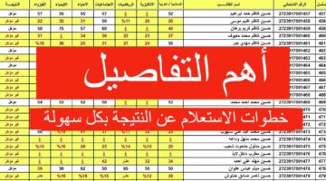 موعد نتائج السادس اعدادي عبر موقع نتائجنا "ملازمنا" وأحدث التفاصيل عن النتيجة