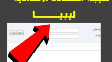 بالاسم ورقم الجلوس ظهرت نتيجة الصف الثالث الإعدادي ليبيا عبر الموقع الرسمي للوزارة