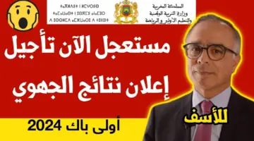 نتائج الامتحان الجهوي أولي باك 2024 المغرب taalim.ma وزارة التربية الوطنية والتعليم الأولي والرياضة