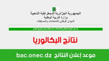 من هنا.. رابط استعلام نتائج البكالوريا الجزائر 2024 الدور الأول جميع المحافظات