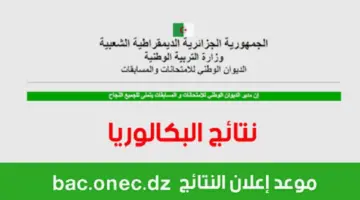 رسميـــًا .. التعليم الجزائري يعلن عن موعد نتائج بكالوريا الجزائر 2024 وخطوات الحصول عليها 