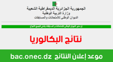 هنا رابط الاستعلام عن نتائج البكالوريا في الجزائر 2024