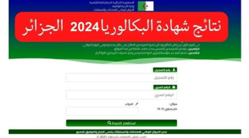 نتائج البكالوريا الجزائر 2024 برابط مباشر وخطوات سهلة Bac onec dz 2024
