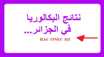 استعدوا .. وزارة التربية الوطنية توضح طريقة الاستعلام عن نتائج البكالوريا الجزائر 2024