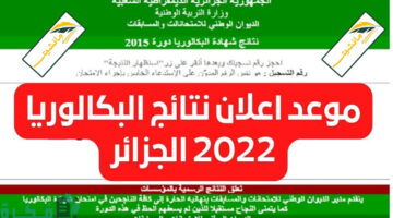 هنا.. رابط الاستعلام عن نتائج البكالوريا الجزائر 2024 عبر الديوان الوطني فور الظهور