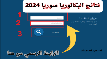 برابط مباشر.. نتائج البكالوريا سوريا 2024 حسب الاسم وموعد ظهورها بشكل رسمي