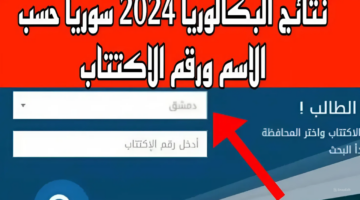 حملها الآن.. نتائج البكالوريا سوريا 2024 عبر بوابة التربية السورية بضغطة زر