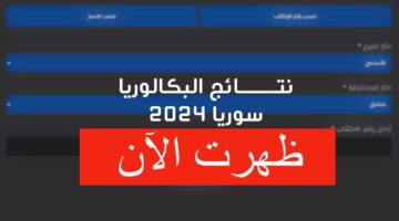 أحدث التفاصيل.. نتائج البكالوريا سوريا 2024 حسب الاسم ورقم الاكتتاب موقع وزارة التربية السورية