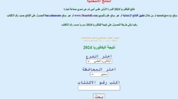 علوم للجميع نتائج البكالوريا سوريا حسب الاسم ورقم الاكتتاب والمدرسة 2024