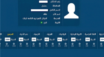 برقم الاكتتاب .. رابط رسمي لنتائج التاسع 2024 سوريا حسب الاسم وزارة التربية السورية www.moed.gov.sy