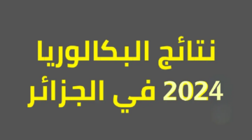 استخرجها بسهولة.. نتائج البكالوريا الجزائر 2024 عبر education.gov.dz الديوان الوطني الجزائري
