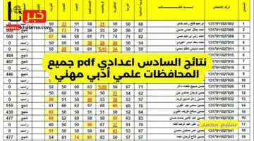 موقع نتائجنا الوزاري 2024 نتائج السادس اعدادي pdf وزارة التربية العراقية results.mlazemna علمي أدبي مهني