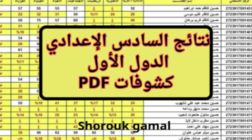 كشوفات PDF.. نتائج السادس الإعدادي بالعراق 2024 علمي و أدبي عبر results.mlazemna