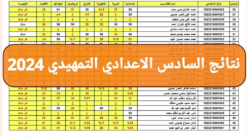 متاح الآن نتائج السادس الإعدادي 2024 دور أول لجميع المحافظات