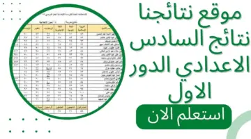 طريقة استخراج نتائج السادس إعدادي 2024 بابل، ونينوى، وبغداد عبر منصة نجاح وموقع نتائجنا