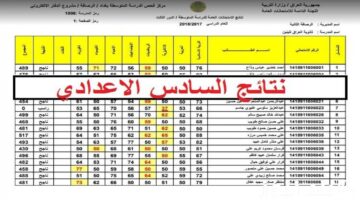 برقم الاكتتاب.. موعد ظهور نتائج السادس الاعدادي بالعراق 2024 عبر نتائجنا