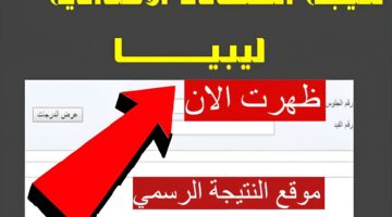 "موقع النتيجة الرسمي" نتائج الشهادة الإعدادية في ليبيا 2024 بنسبة النجاح 60.36%