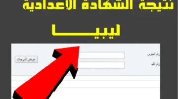 بشائر النجاح تصل إلى 210 ألف طالب.. استعلم عن نتائج الشهادة الاعدادية ليبيا 2024 عبر الرابط moe.gov.ly