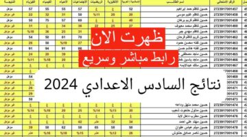 ظهرت رسميا.. نتائج السادس الاعدادي العراق 2024 وكيفية الحصول عليها برابط مباشر