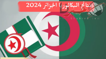 استعلم الآن عن نتائج بكالوريا الجزائر 2024 عبر رابط الديوان الوطني