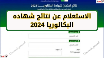 لينك مباشر.. نتائج بكالوريا الجزائر 2024 عبر موقع الديوان الوطني bem.onec.dz