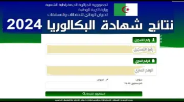احصل على نتائج البكالوريا 2024 الآن عبر كشوف النقاط Bac onec dz