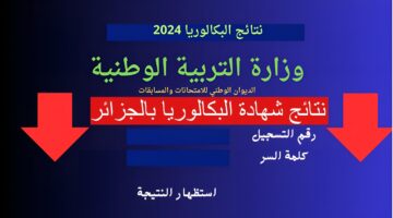 "رسميا" نتائج شهادة البكالوريا بالجزائر 2024 بعد قليل عبر منصة فضاء الأولياء وموقع وزارة التربية