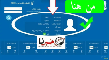 ظهرت حالا.. طريقة الاستعلام عن نتيجة البكالوريا 2024 في سوريا عبر moed.gov.sy