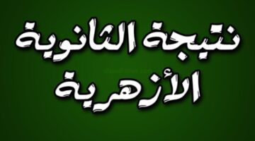 "برقم الجلوس".. رابط الاستعلام نتيجة الثانوية الأزهرية 2024 من خلال بوابة الأزهر الشريف