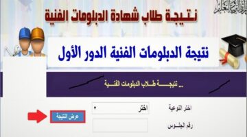 ظهرت الآن نتيجة الدبلومات الفنية للعام الدراسي الثاني 2024 