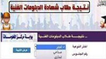 برقم الجلوس "fany.emis.gov.eg" لينك الاستعلام عن نتيجة الدبلومات الفنية 2024 التجاري و الصناعي و الزراعي و الفندقي