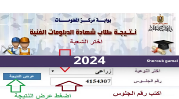 نتيجة الدبلومات الفنية 2024 صناعي وفندقي وزراعي وتجاري برقم الجلوس عبر fany.emis.gov.eg