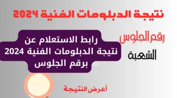 نتيجة الدبلومات الفنية 2024 برقم الجلوس اليوم السابع عبر fany emis gov "تجاري وصناعي وزراعي وسياحي".. ترقــب تفعيــل اللينك