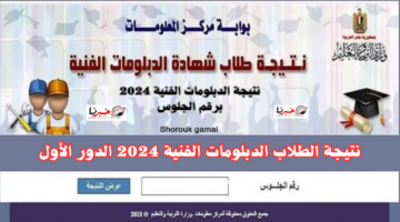 رابط مباشر.. نتيجة الدبلومات الفنية 2024 برقم الجلوس fany.emis.gov.eg