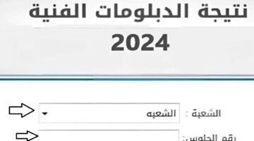 برابط مباشر .. الاستعلام عن نتيجة الدبلومات الفنية 2024 «صناعي، تجارى، زراعي، فندقي» بالاسم من بوابة التعليم الفني