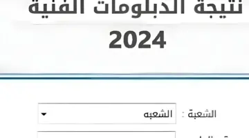 مبـروك .. لينـك نتيجة الدبلومات الفنية 2024 برقم الجلوس عبر موقع tech.moe.gov.eg