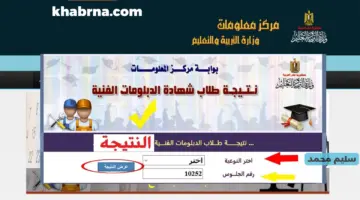 نتيجة الدبلومات الفنية 2024 بجميع المحافظات fany.emis.gov.eg رابط نتائج الشهادة الثانوية الصناعية والتجارية والزراعية