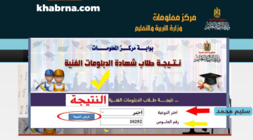 نتيجة الدبلومات الفنية 2024 برقم الجلوس رابط نتائج الثالث الثانوي صناعي تجارة زراعة فندقي