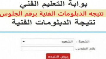 "https://fany.emis.gov.eg/"موقع بوابة التعليم الفني نتيجة الدبلوم الدور الأول 2024