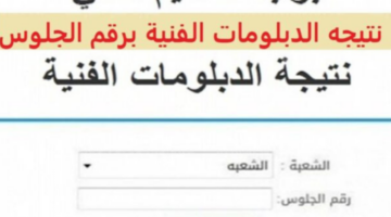 جاري الرفع.. نتيجة دبلوم الصنايع برقم الجلوس 2024 عبر بوابة التعليم الفني بعد اعتمادها رسميا