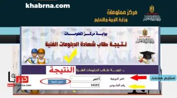 نتيجة الدبلومات الفنية 2024 صنايع وتجارة emis.gov.eg رابط نتائج الثالث الثانوي الفني جميع المحافظات