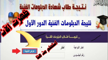 ظهرت الآن.. رابط نتيجة الدبلومات الفنية 2024 برقم الجلوس fany.emis.gov.eg