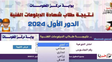 برابط رسمي.. نتيجة الدبلومات الفنية 2024 برقم الجلوس عبر fany.emis.gov.eg