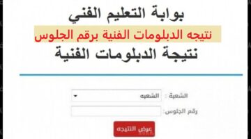 مبروك للجميع ..نتيجة الدبلومات الفنية برقم الجلوس 2024 "ظهرت رسميا" على nategafany