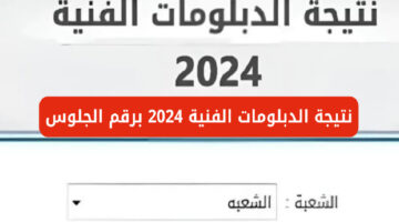 هنا.. رابط fany emis gov eg نتيجة الدبلومات الفنية 2024 برقم الجلوس