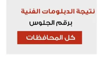 "جاري الرفع".. نتيجة الدبلومات الفنية برقم الجلوس 2024 لكل الشعب عبر موقع الوزارة الرسمي