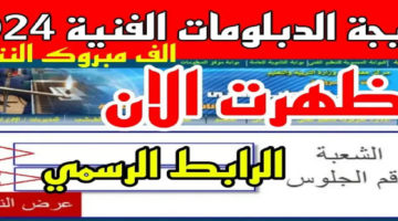 الآن.. نتيجة الدبلومات الفنية 2024 برقم الجلوس عبر fany.emis.gov.eg