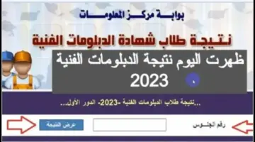 لينك نتيجة الدبلومات الفنية 2024 برقم الجلوس جميع المحافظات