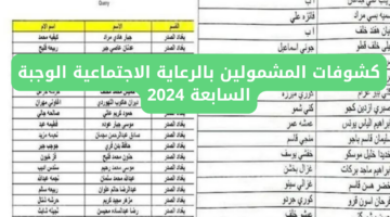 كشوفات المشمولين بالرعاية الاجتماعية الوجبة السابعة 2024 عبر منصة مظلتي spa.gov.iq